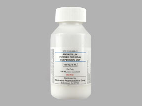 AMOXICILLIN ORAL SUSPENSION SUSP 125MG/5ML 100ML | Real Value Rx